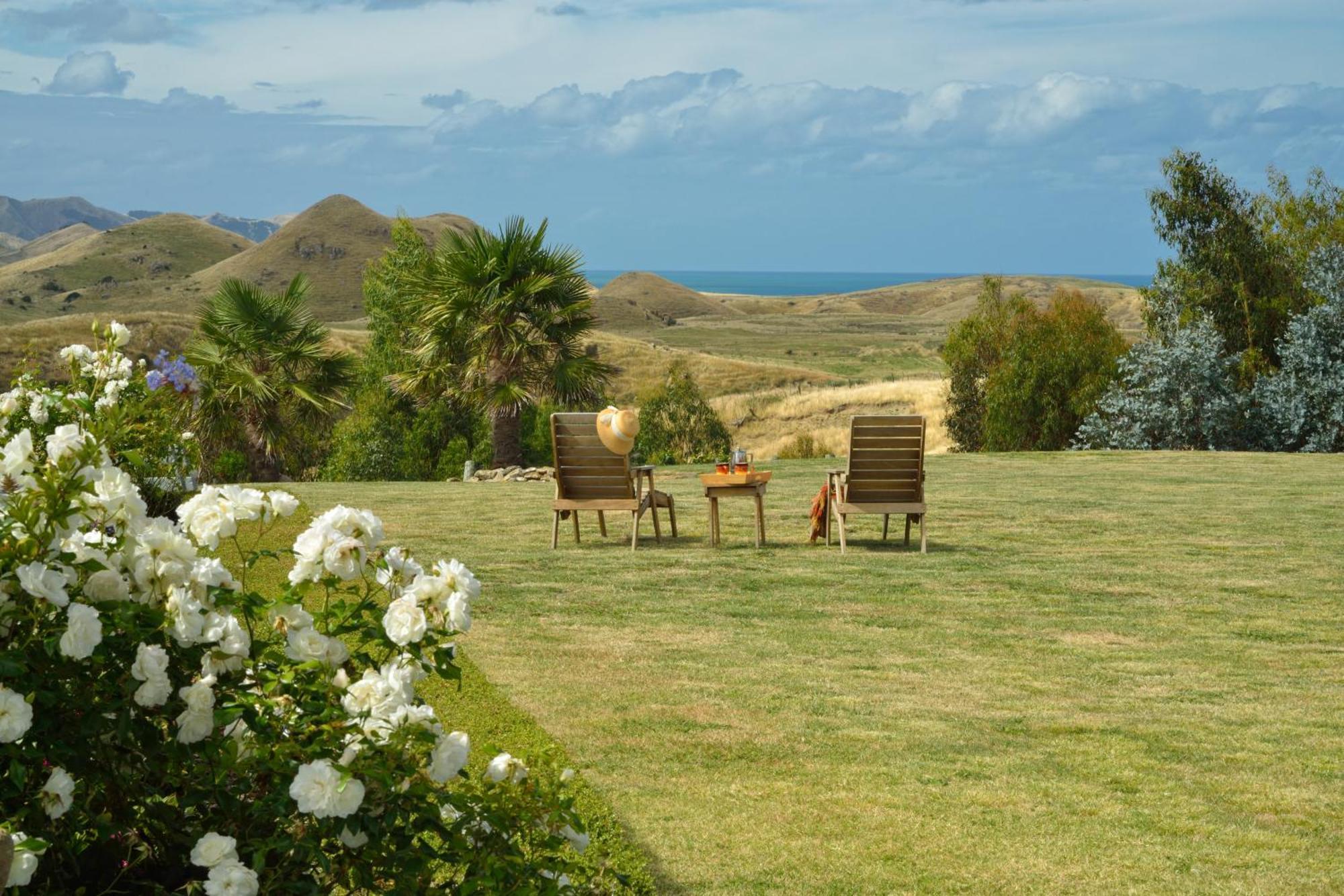 Cape South Estate - International Award-Winning Country Estate With Pacific Views Хавлок-Норт Экстерьер фото